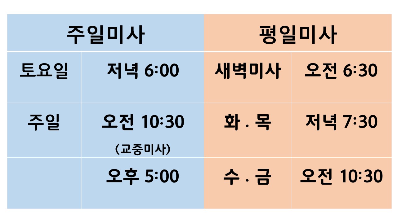 http://www.bdcatholic.or.kr/bs/userimg//fileu/1739343951_미사시간.jpg