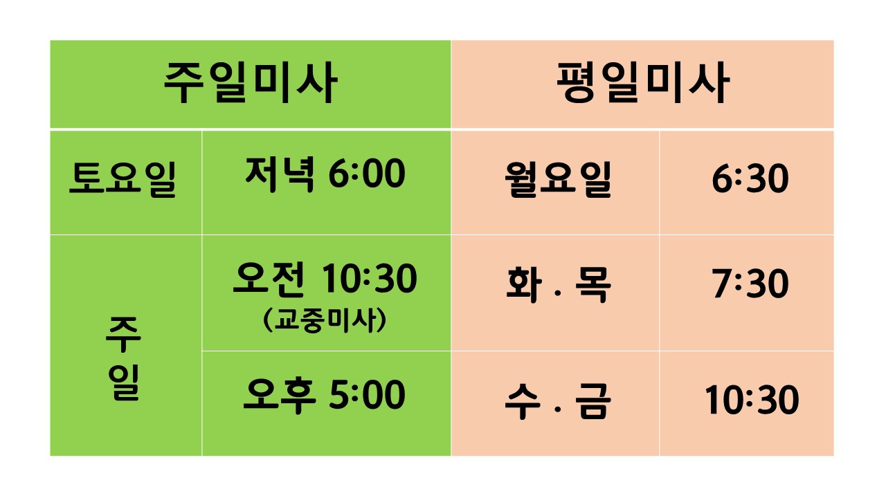 http://www.bdcatholic.or.kr/bs/userimg//fileu/1756625424_성당미사시간수정.jpg